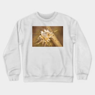 Dead seed head. Crewneck Sweatshirt